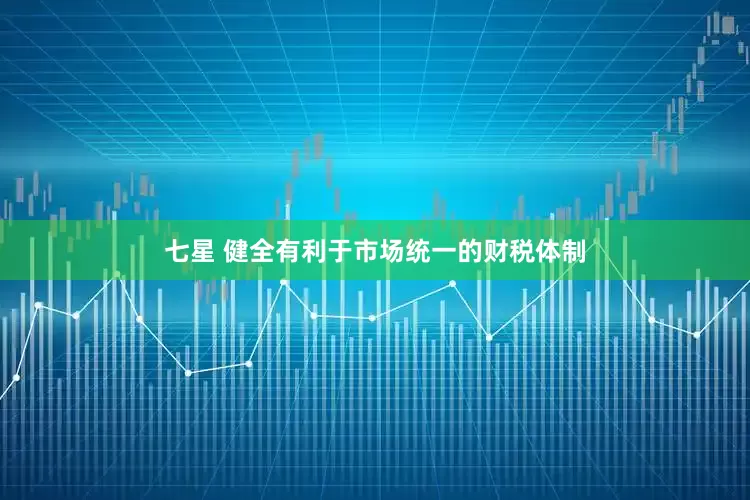 七星 健全有利于市场统一的财税体制
